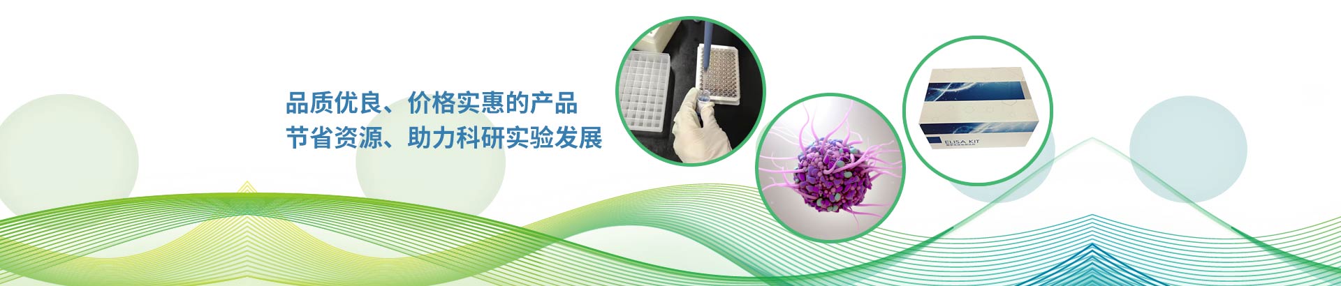 上海通蔚生物試劑優(yōu)質(zhì)